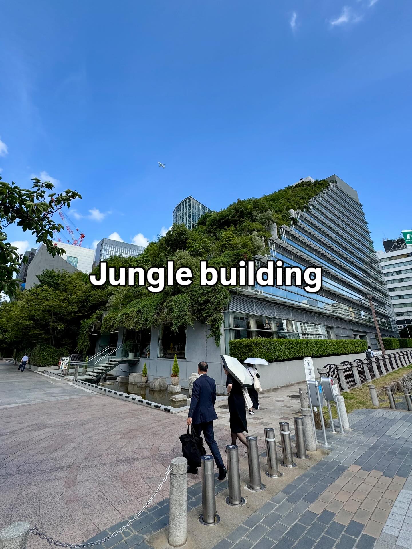Jungle building