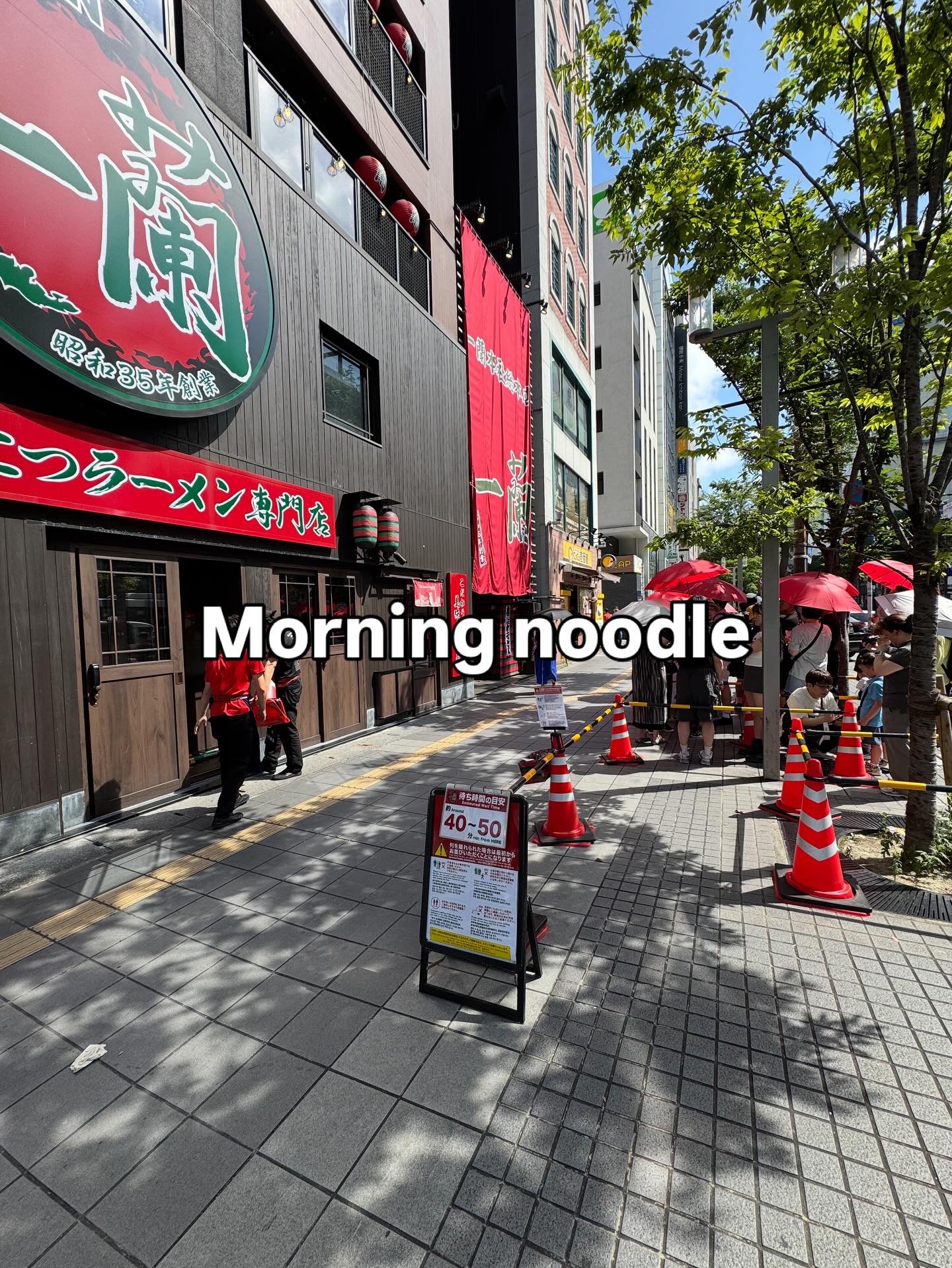 Morning noodle